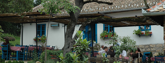 Zornića kuća
